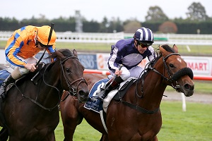 CONSENSUS 11.04.15 AirfreightSt. RaceImagesChch